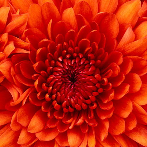 Юлия Худюкова