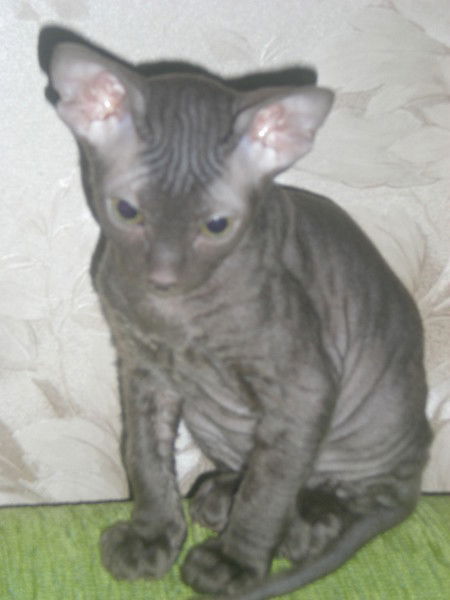 Оксана Иванова