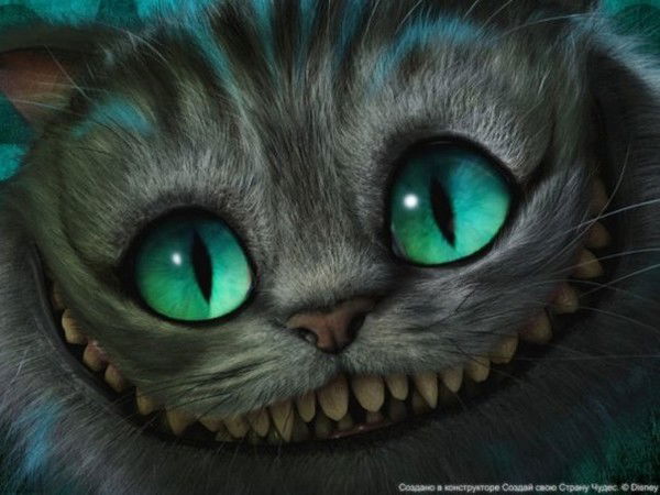 Николай Шкут