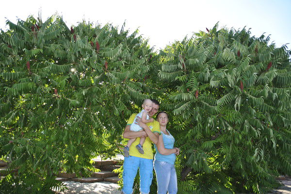 Карина Герасимчук