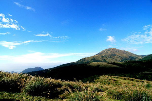 Олег Краснов