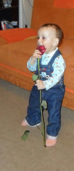 Елена Максимова