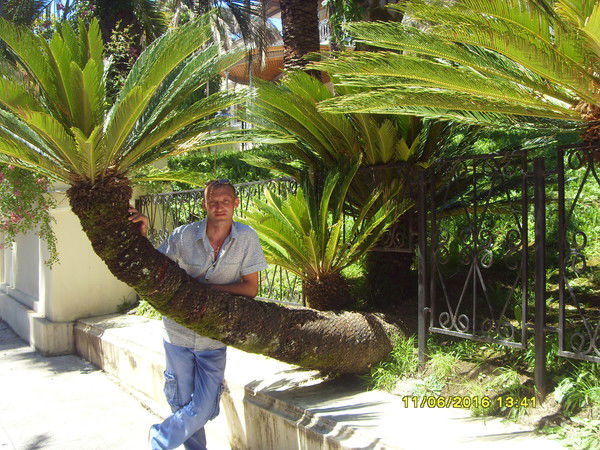 Вячеслав Шамов