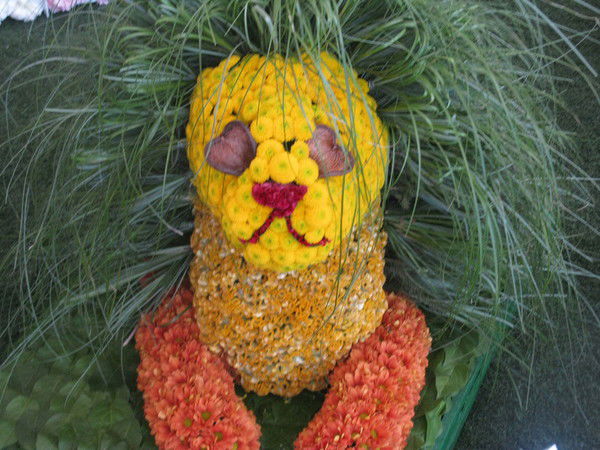 Ольга Медведева