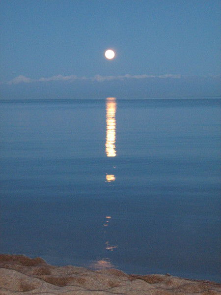 Наталия Масликова