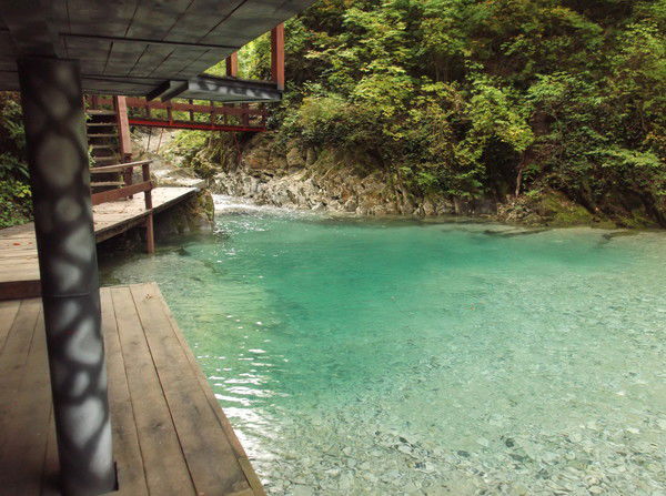 Туапсинское Лесничество Филиал Гку Кк Ко