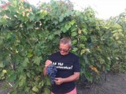 Иван Гаценко