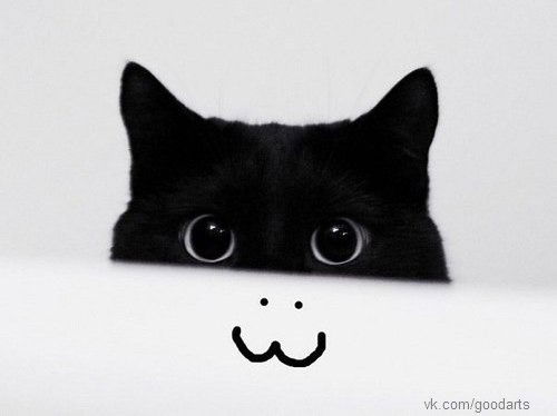 Лариса Ахметова