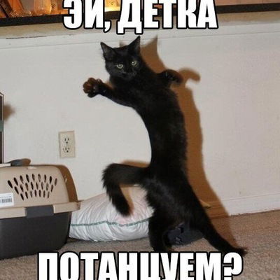 Вика Мерзлякова