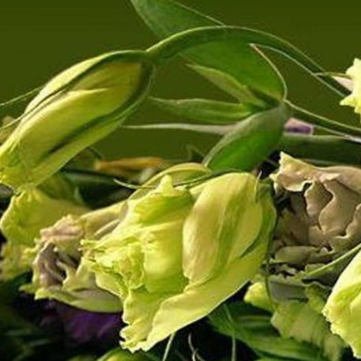 Валентина Радченко