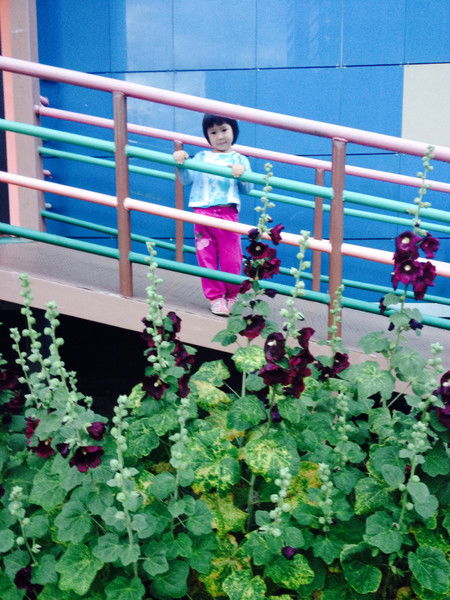 Гульмира Абилова