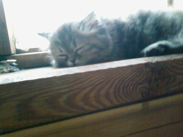 Оксана(T) Козлова