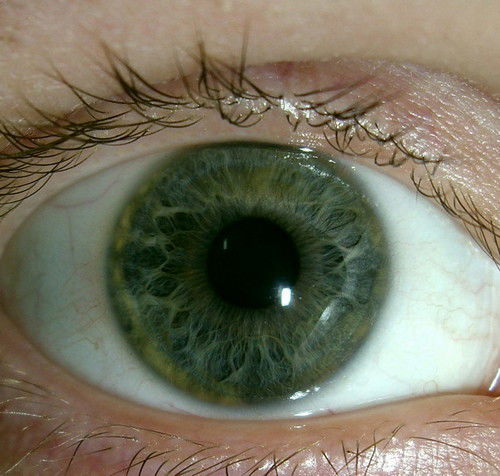 Роман Дудин