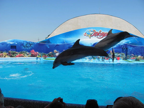 Оксана Грабовецкая