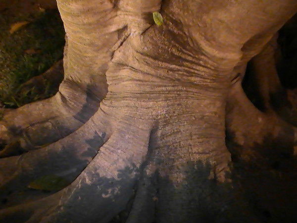 Александр Солопов