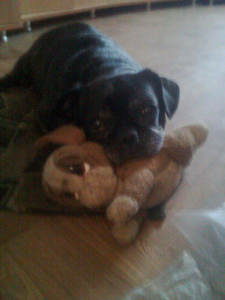 Алла Федяева