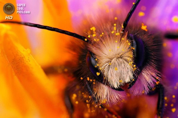 Татьяна Огнева