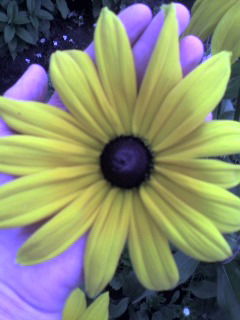 Татьяна Плотникова