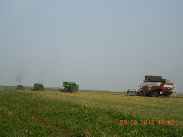 Фария Бикмухаметова