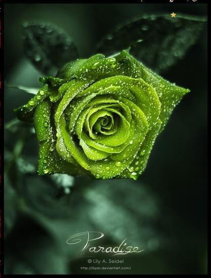 Татьяна Жукова