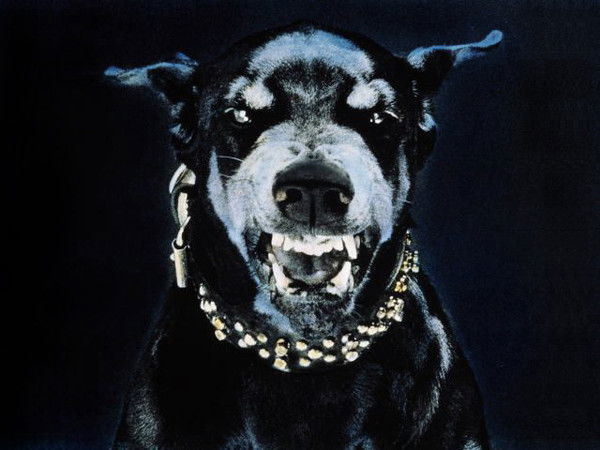 Данил Волков