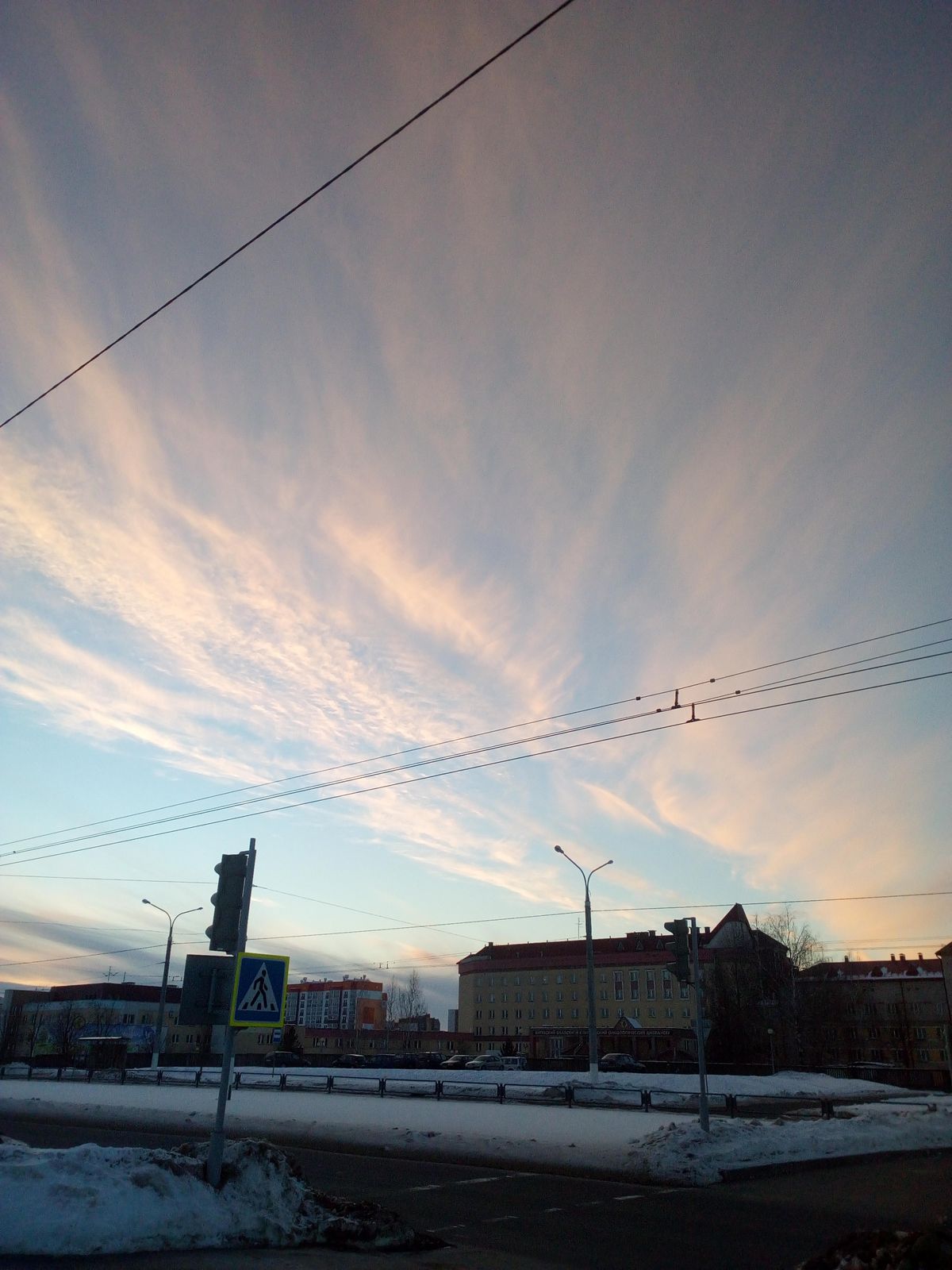 Елена Медведева