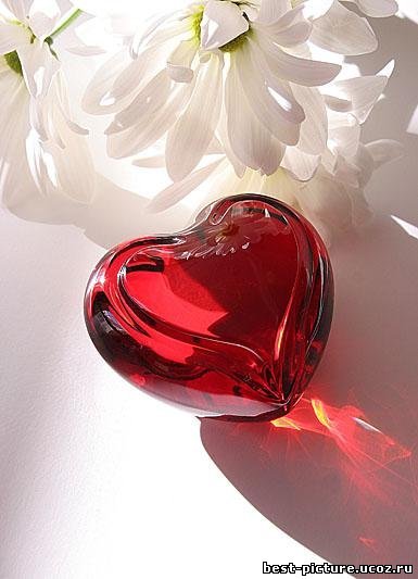 Салтанат Жоракулова