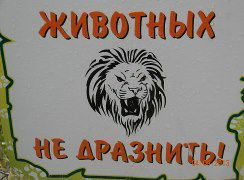 Кожевников Владимир