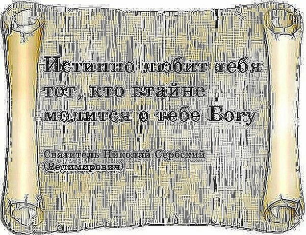 Морской Котик