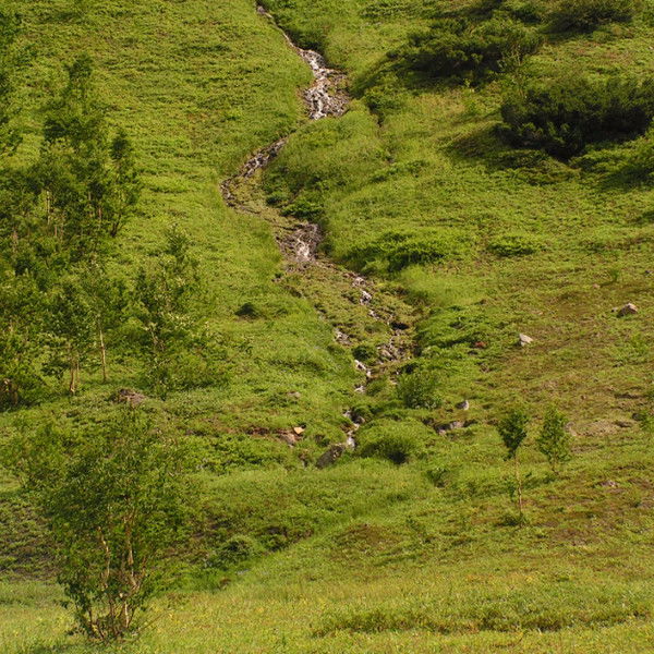 Артем Иванов