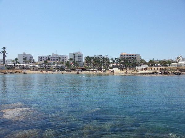 Елена Силкина