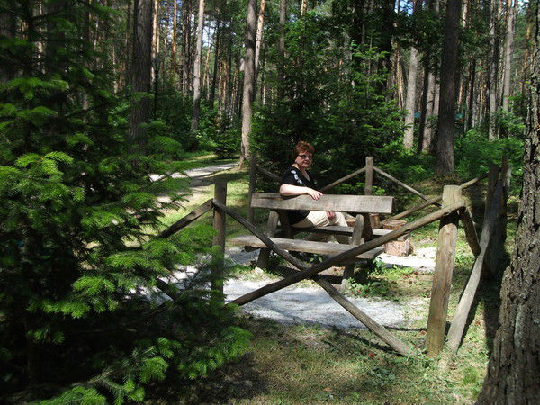 Галина Воевода