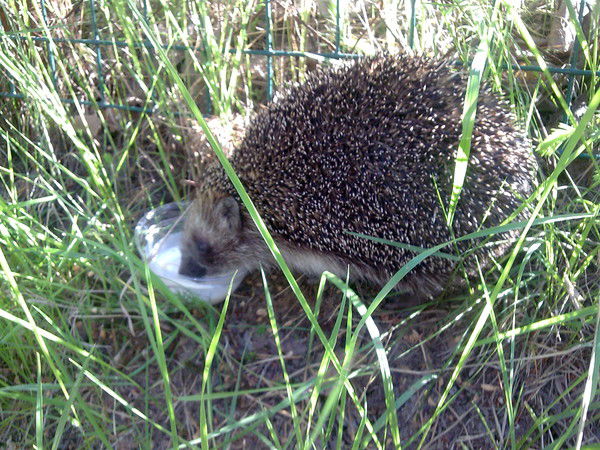 Юлия Кокуркина