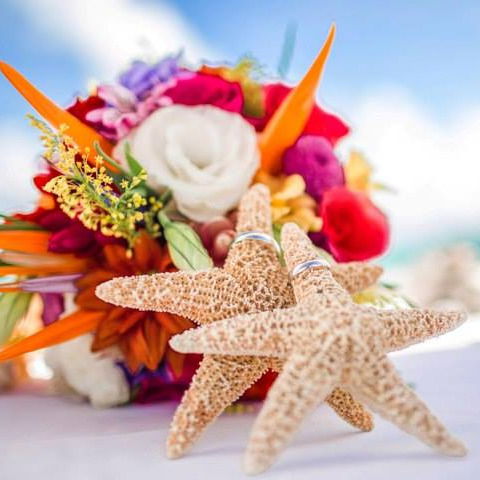 Ооо Фристайл-Тур