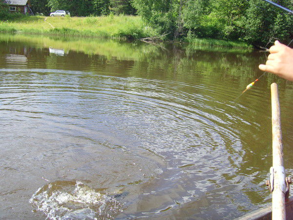 Александр Новокшонов
