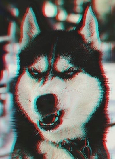 Степан Алемесов