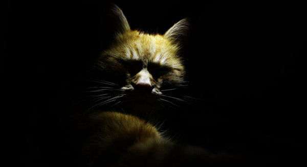 Евгений Борисов