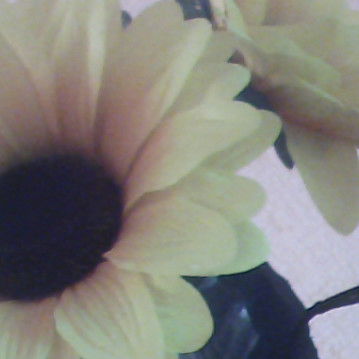 Зульфия Рязанова