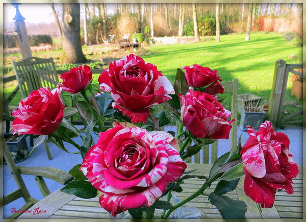 Жадыра Есетова