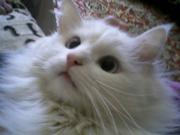 Ирина Ксенофонтова