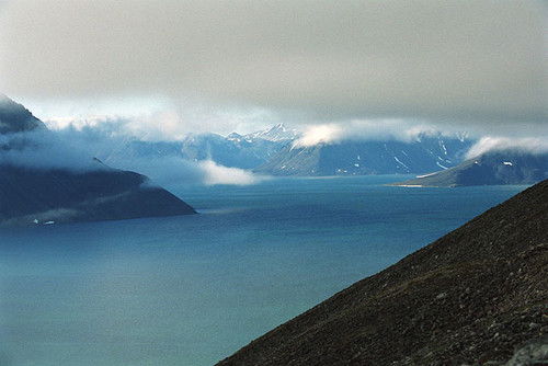 Елена Гудовщикова