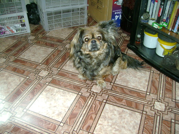 Надежда Николаевна)))