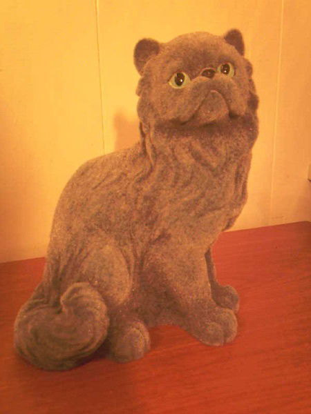 Оксана Попова