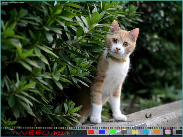 Ансаган Авсаматова