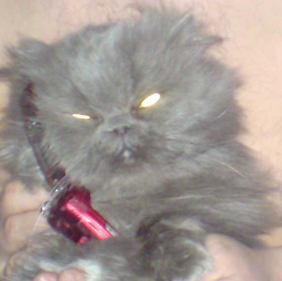 Игорь Федоров