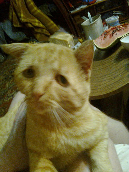 Сергей Сметанин