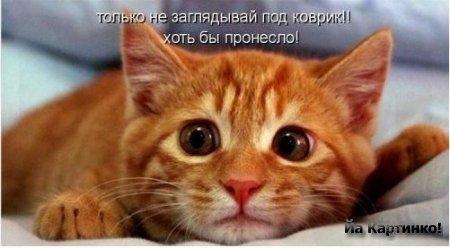 Галина Борисова