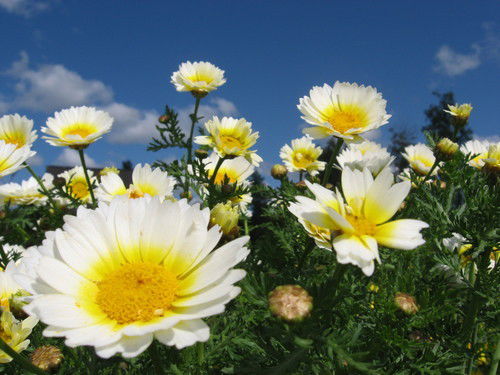 Марина Богомаз