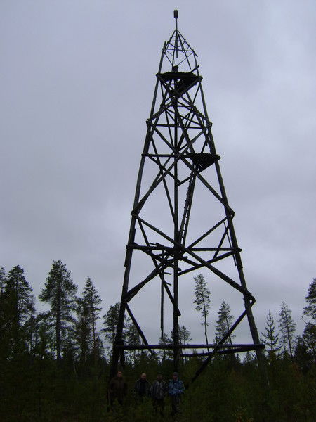 Владимир П*