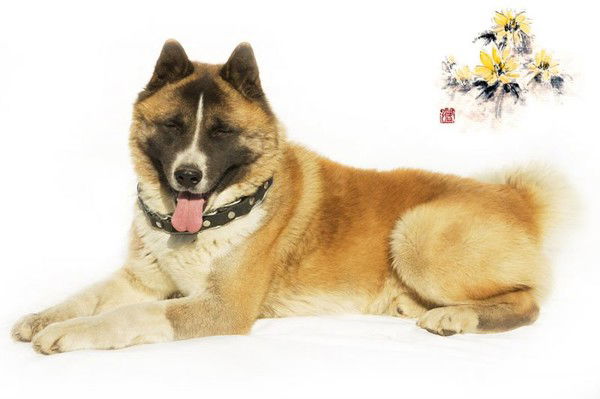 Лебедева Ирина